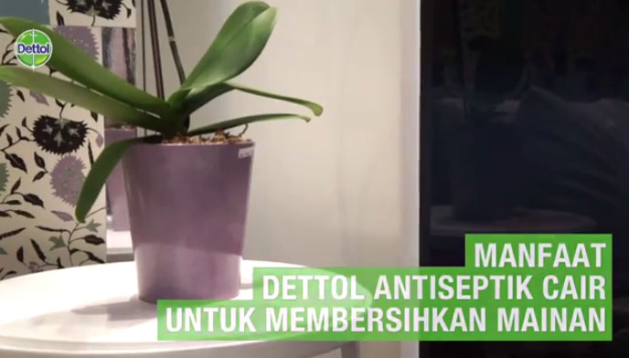 100 Persen Yakin Terbebas Dari Kuman dengan DAL