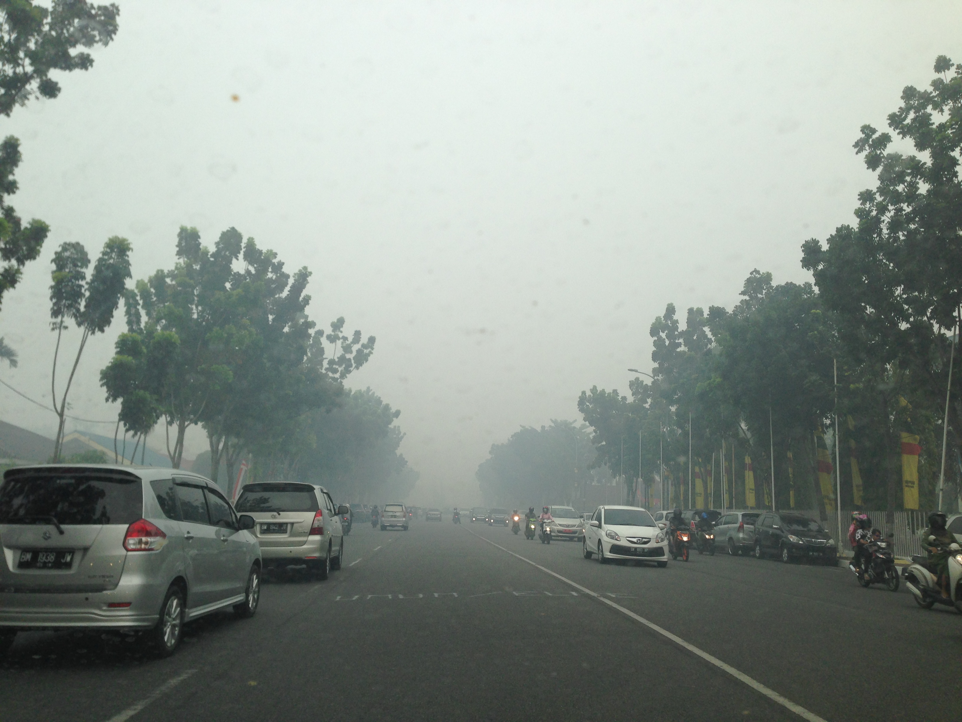 Tips Meminimalisir Dampak Kabut Asap
