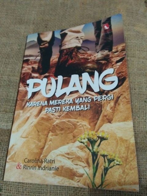 Review Buku: Pulang - Karena Mereka yang Pergi Pasti Kembali