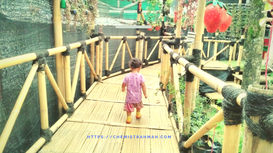 Anak Mandiri Sejak Dini