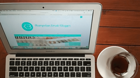 Niche Blog