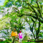 Wisata Djawatan Benculuk, Lord of The Rings ala Banyuwangi