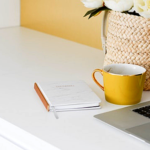 Tip Memilih Hosting untuk Blog yang Tepat