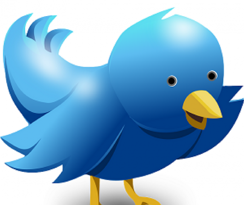 3 Cara Optimasi Profil Twitter Sebagai Media Sosial Pendukung Aktivitas Ngeblog