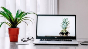 5 Prinsip Dasar Membuat Konten Blog yang Lezat Dicerna