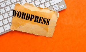 12 Langkah Mengamankan Blog WordPress
